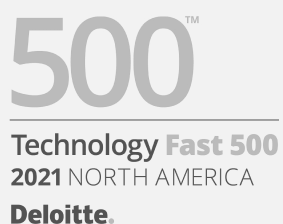 Technology Fast 500