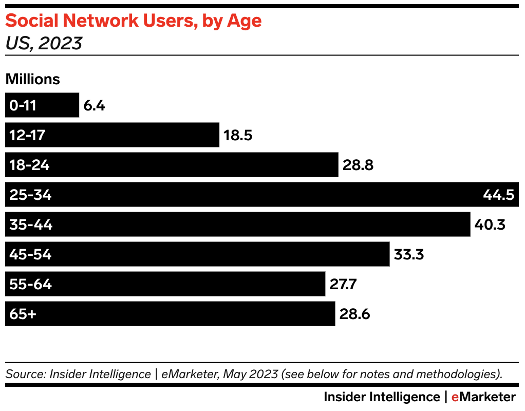 Social Network Users by age